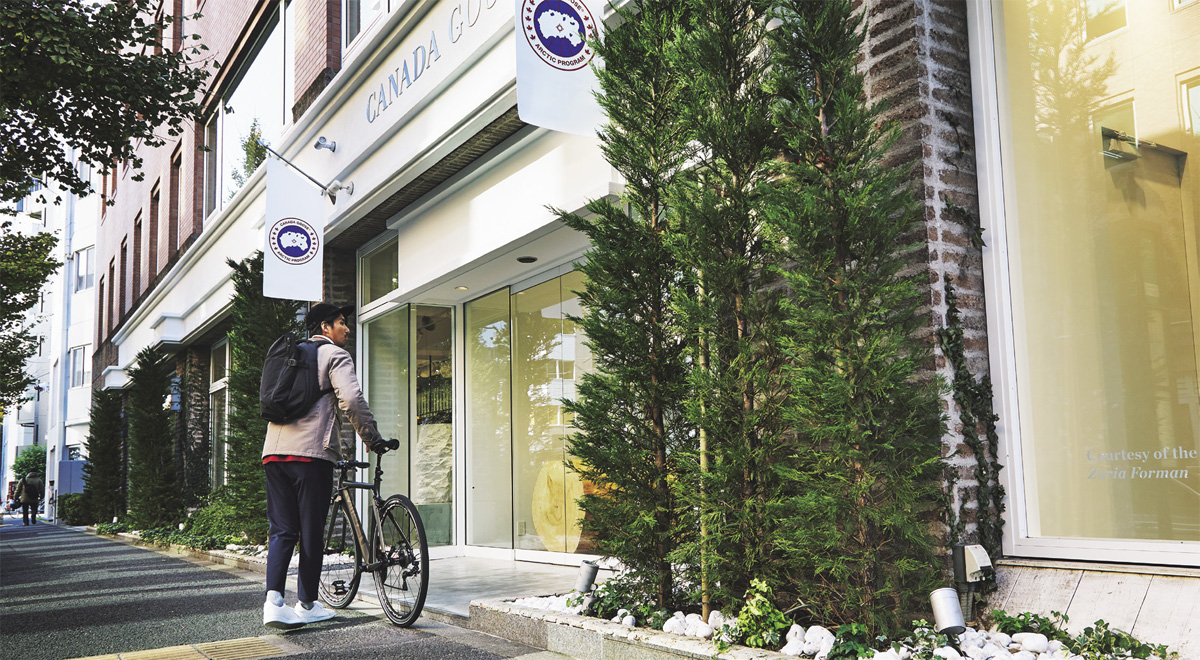 ダガヤサンドウ　Fine［ファイン］