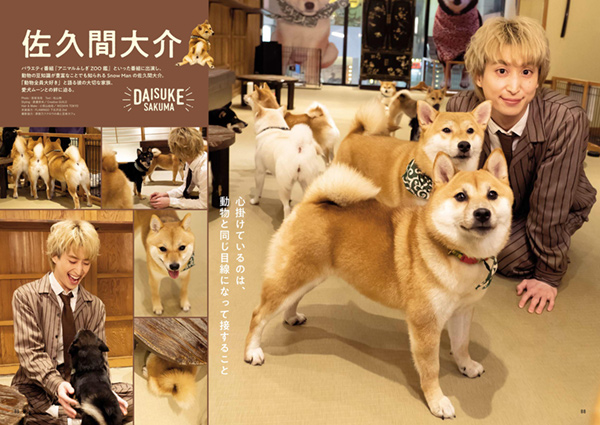 Pet Pop SQUARE COVER:髙橋海人