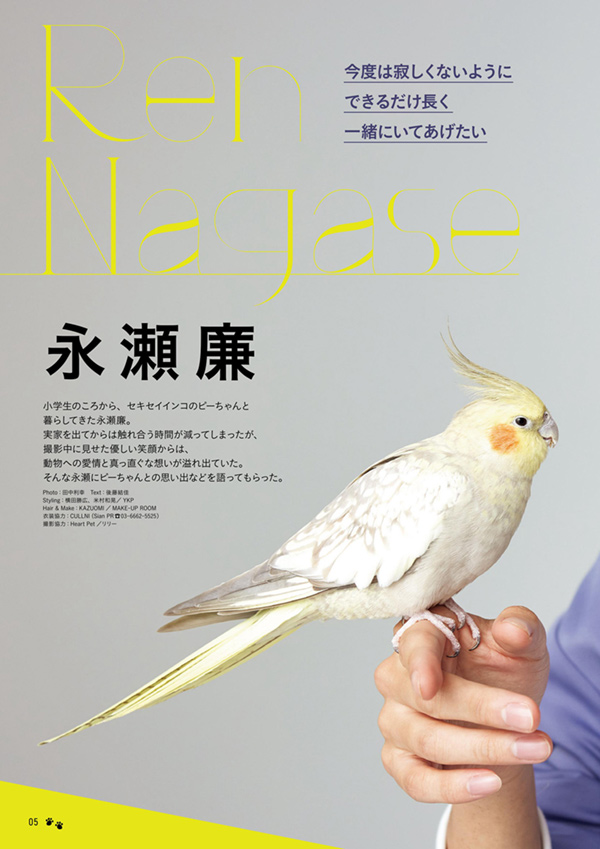 Pet Pop SQUARE vol.3 COVER:永瀬 廉